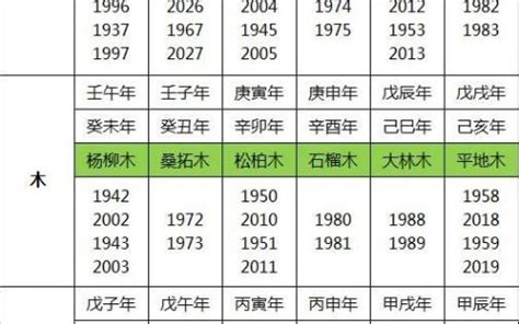 2023年后属哪个五行