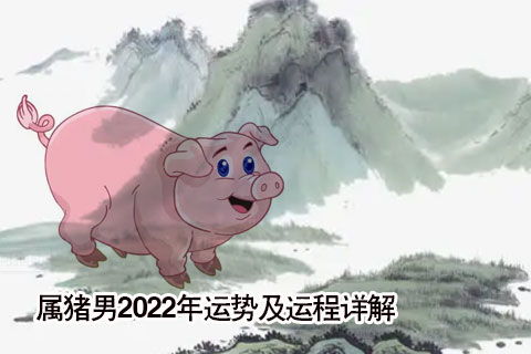 2022年属猪的全年运势及运程详解
