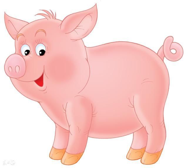 猪年风水堂：属猪的人2023年每月运势
