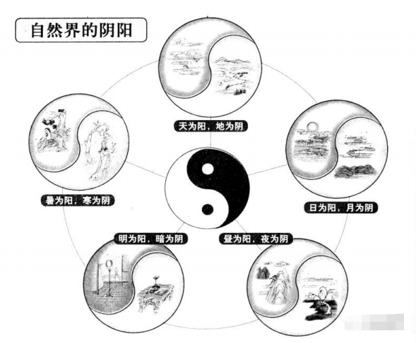 阴升阳降 （李向东）中华文明以及其延伸而来探讨生命的经典著作
