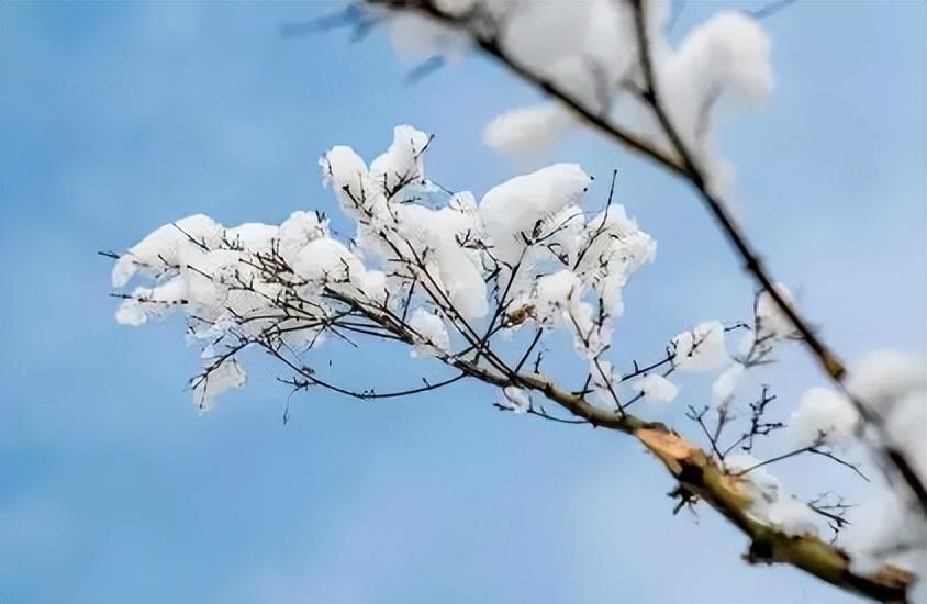 立冬头，来年不用愁，60一甲子的由来