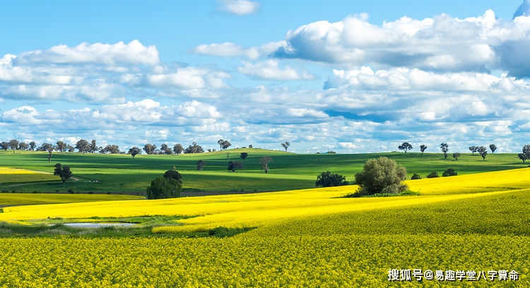 丙火生戊土吗 风水堂:六亲的主线还是要围绕这两条思路