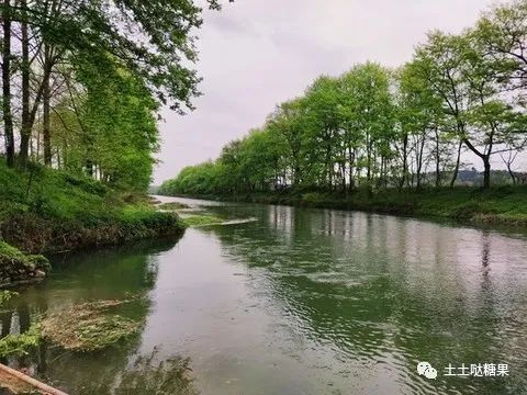 正月癸水选用指南：辛金丙火搭配，富贵非凡，无则贫困