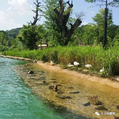 正月癸水选用指南：辛金丙火搭配，富贵非凡，无则贫困