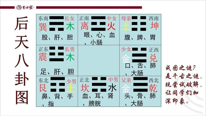 五行风水植物的选择与摆放：助你打造和谐办公环境